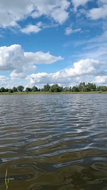 😆🏡🐳БЕЛАРУСКАЯ ДЕРЕВНЯ НА ОЗЁРАХ. #беларуская #лето