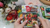 Какие сорта семян сажать в огороде часть (13)