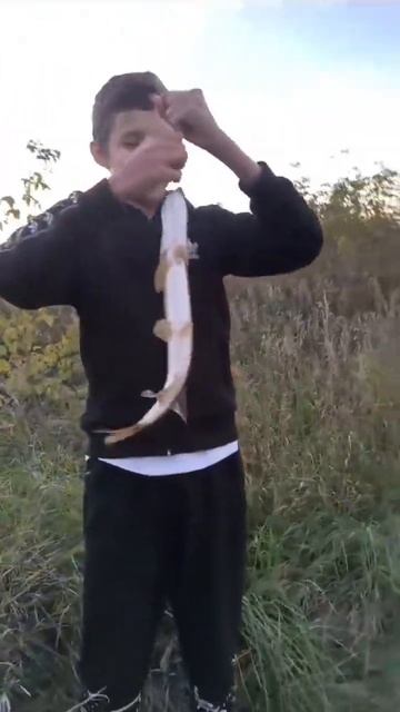 Вчера был на рыбалке поймал такую щуку🔥
