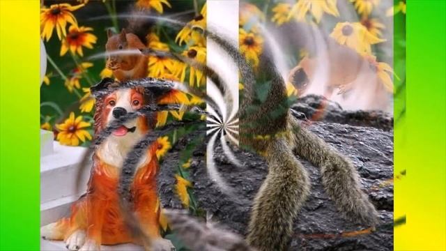 Смешные белки | Funny Proteins