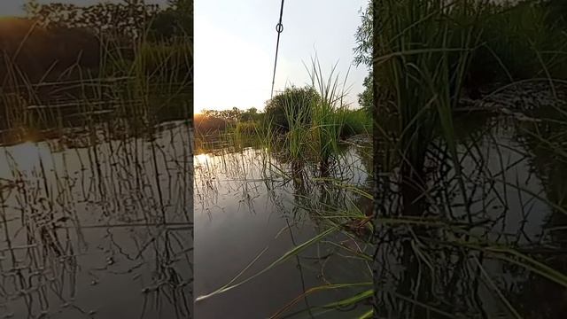 блеснение на Верхоглядиков часть 3 #рыба #рыбы #fishing #бл?