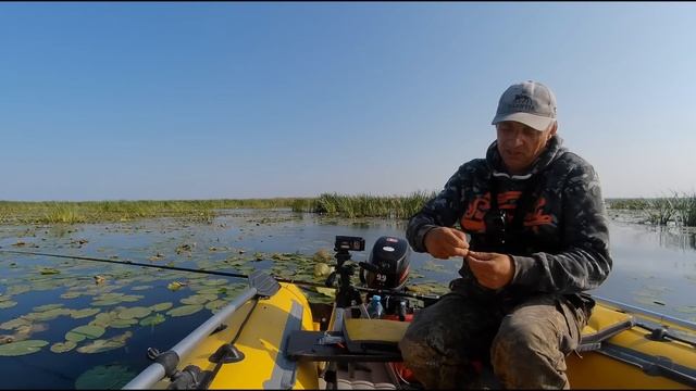 ЗАКИНУЛ ПОПЛАВОК В САМЫЕ КУВШИНКИ И... Рыбалка на Карас