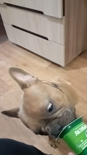 Наша вкусняшка