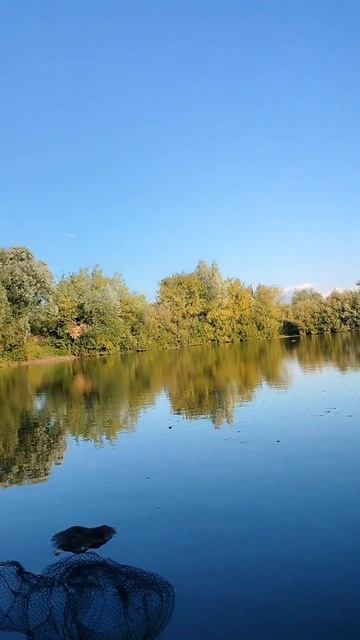 Рыбалка или грибалка ? #рыбалка #fishing #nature #природа #крас