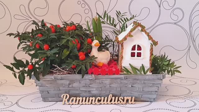 Цветочная композиция из комнатных растений