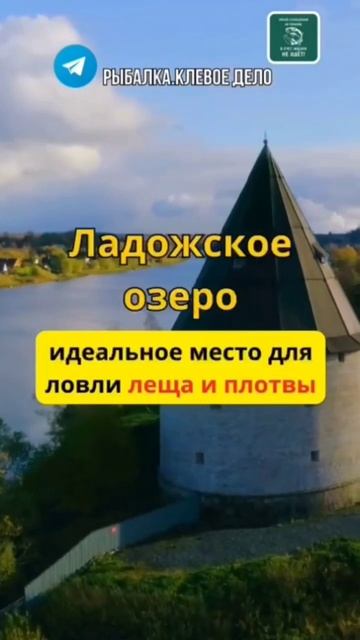Рыболовные места России ч.2 #рыбалка #рыба #люди #карп #fi