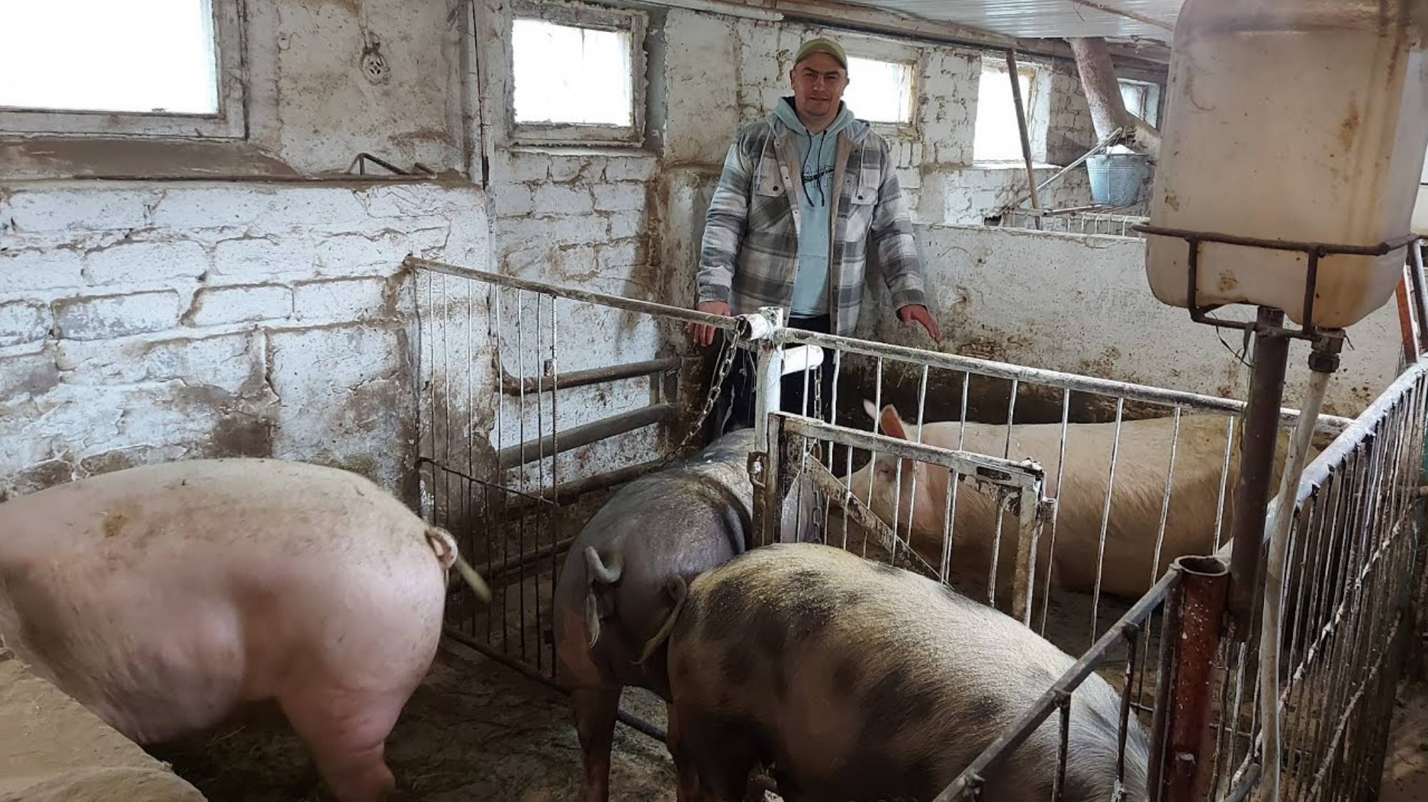 Саня Новиков. Мы их продали. Сколько осталось