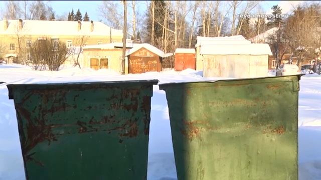 В Ревде году экологии посвящена серия мероприятий