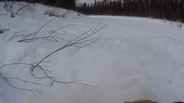 Отличный клёв на таёжной реке. День 2.