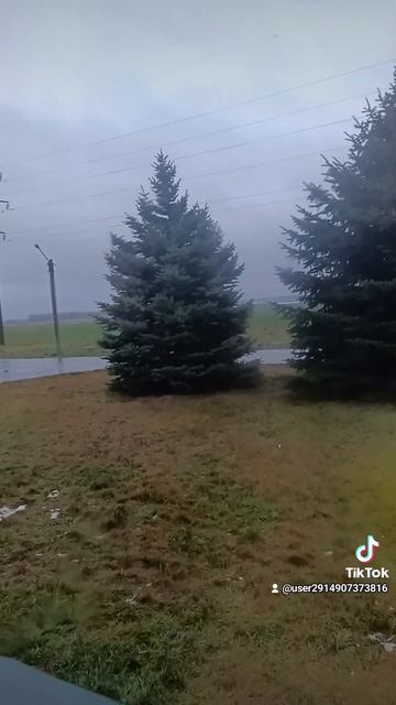 растаял снег найди Пикасу