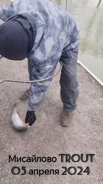 05. 04.24 Мисайлово Trout. Уловы рыбаков