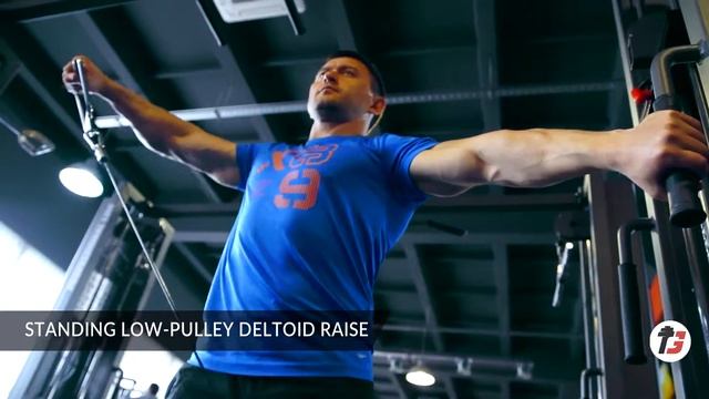 STANDING LOW-PULLEY DELTOID RAISE | МАХИ РУКОЙ В СТОРОНУ НИЖНЕГО БЛОКА