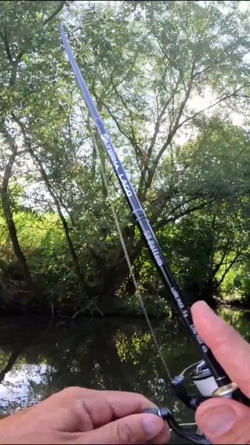 КЕФАЛСКО РАЗБИВАНЕ 😱🤩 #риболов#спининг#кефал#клатуш
