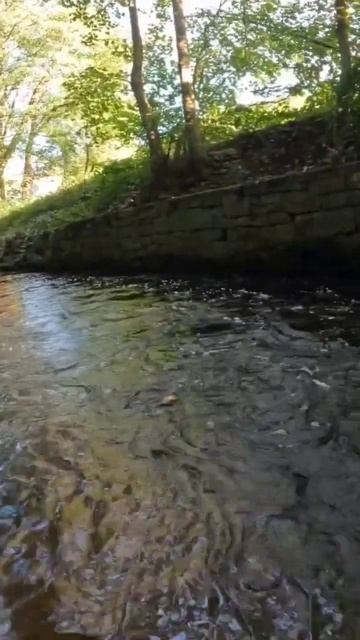Рыбалка на малых реках и ручьях! #fishing #рыбалка  #shots