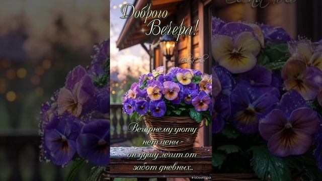 Желаю всем доброго вечера и душевного тепла ♥️♥️