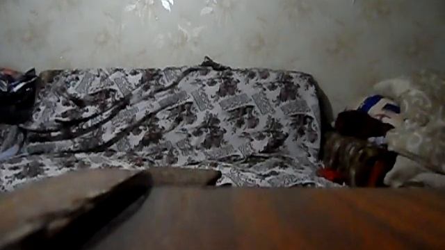 124 день подряд фрукторианство. Тренировка грудь, трице