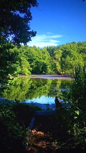 Озеро.Природа.