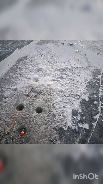 морская рыбалка 23.01.2024
