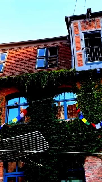 Камера покажет правду