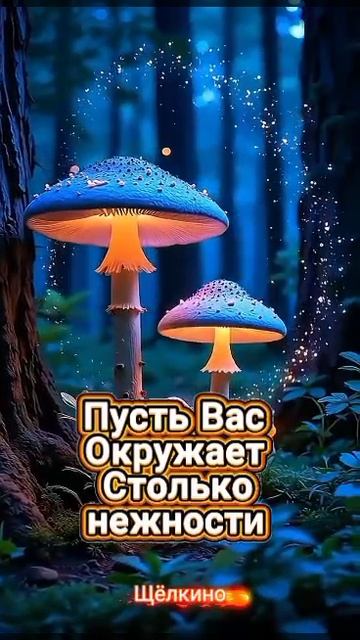 Спокойной ночи. ВидеоОткрытки