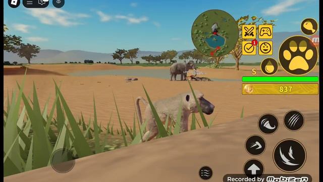 Бабуин в Роблоксе!!!Купил бабуина?!?! || Baboon in Roblox. Savannah Live in Roblox!!