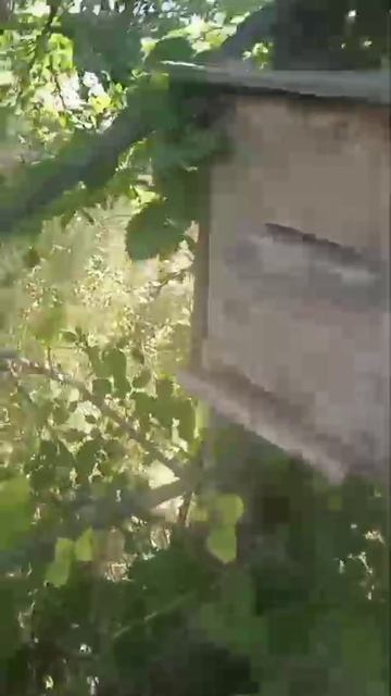 ловушка без рамок и работает