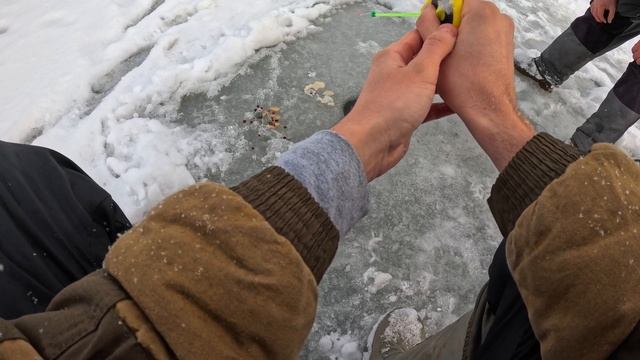 Открыл сезон ЗИМНЕЙ РЫБАЛКИ 2024-2025. Истринское водохра?