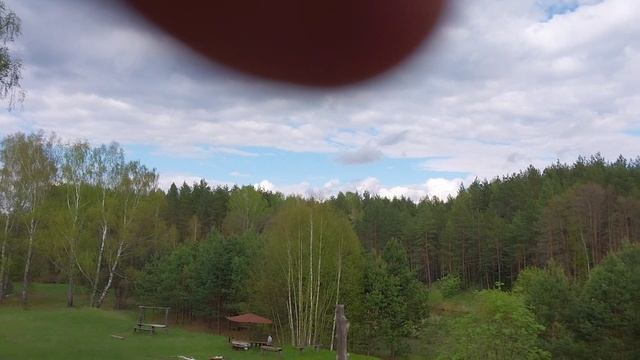 В парке водятся змеи.