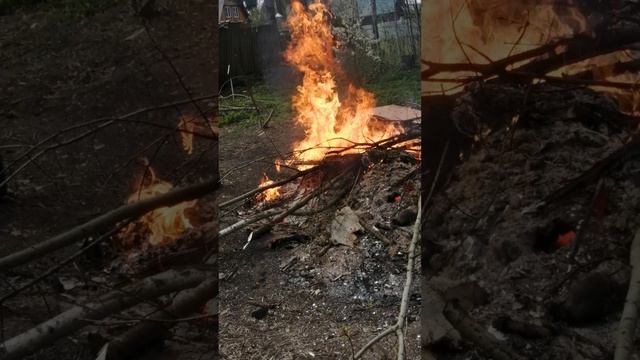 Жендос огонь