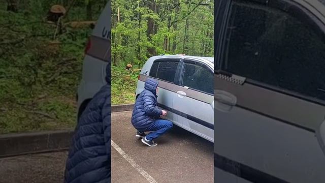 УПАЛО ДЕРЕВО НА АВТОМОБИЛЬ, ПОСМОТРИ, ЧТО ДЕЛАТЬ!