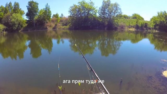 Ловим карасиков на болоте 🎣 #Рыбалка #Шортс #Лайфхаки