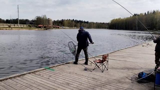 Поимка осетра.