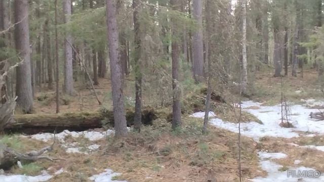 1000154638.mp4