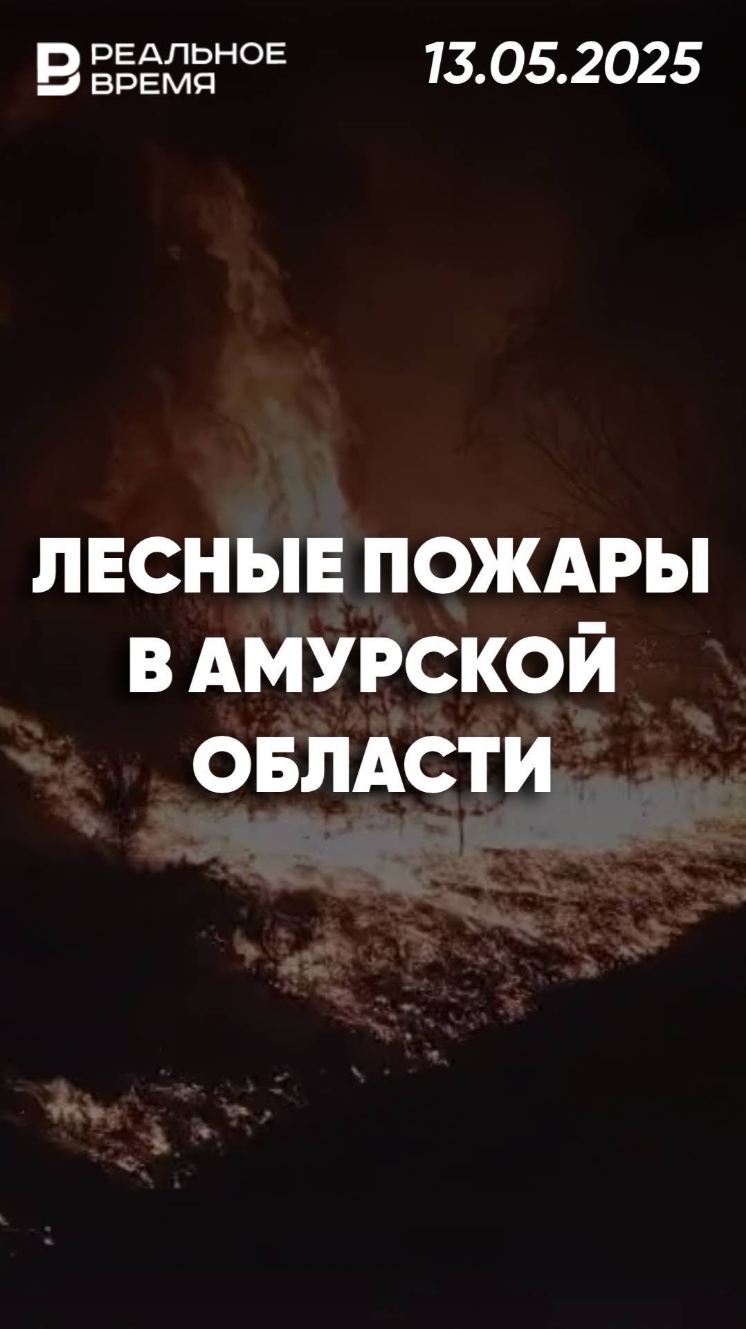 Лесные пожары Амурской области добрались до трасс