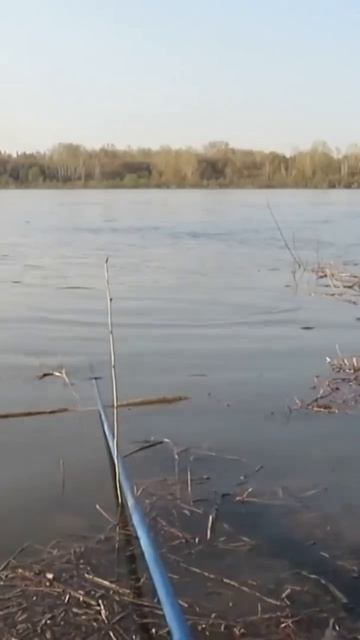 Рыбалка на реке Томь Кемерово