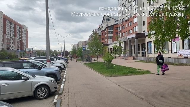 Гудкова 21 трафик