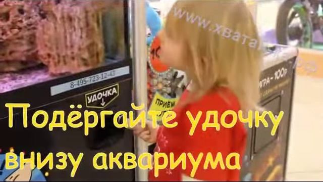 Аттракцион - Поиграй с рыбкой