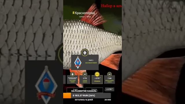 Северский Донец . Трофей красноперки #рр4 #рыбалка #тро?