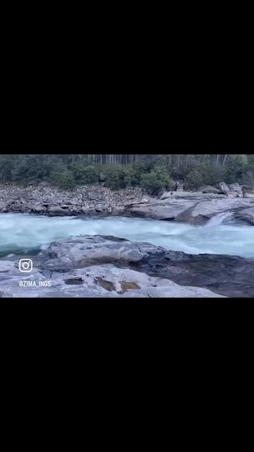 таёжный 2024🔥🦌🌲🏔️тайга #путешествия #природа #горы
