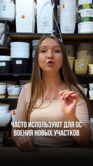Сидерат рожь #рожь #сидераты