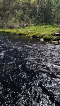 Стремительное Весеннее Течение На Малой Реке☀️