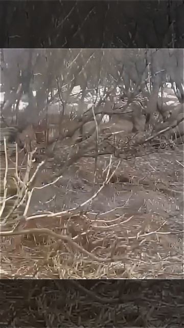 не сезон