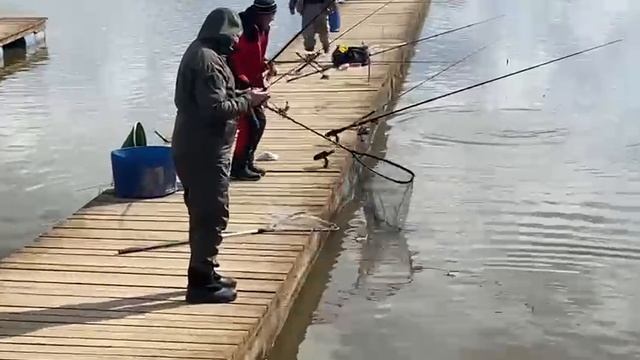 Поимки форели !!!