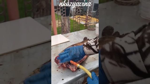 Ловит муж, а чищу я. Где справедливость?