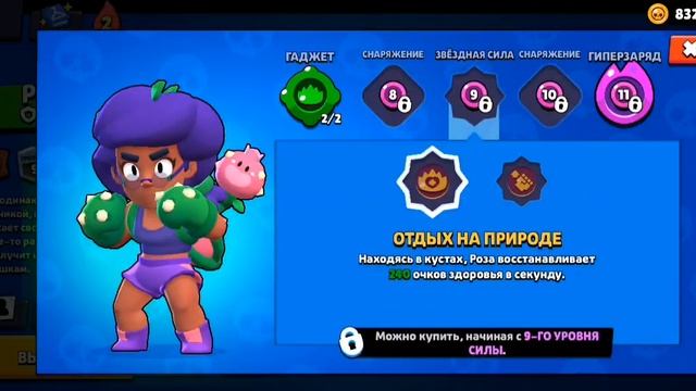 Гайд на Розу