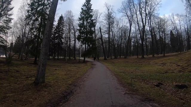 Подарок судьбы, я остался без работы. Блог Банкрота. Выпуск 32.