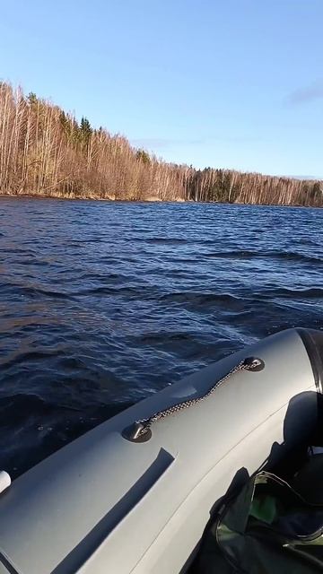 Десногорское водохранилище. Декабрь 2024.