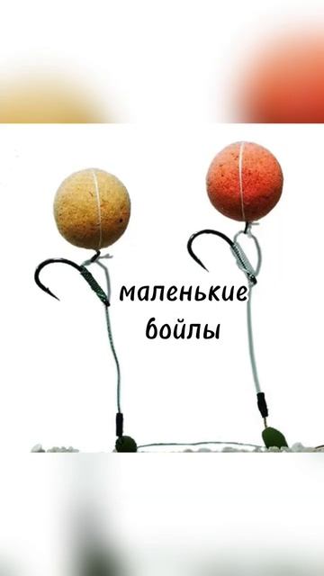 #fishing #carpfish #fish #ловим #лето2024 #рыба #толстолобик #рекоме?
