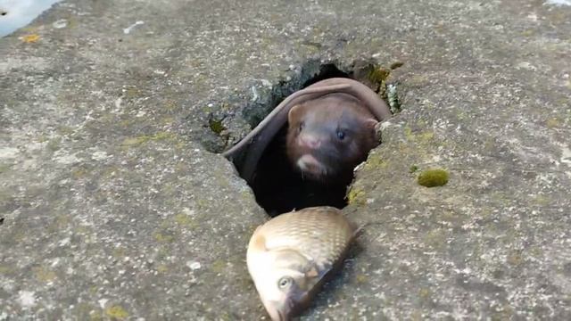 1000029431.mp4