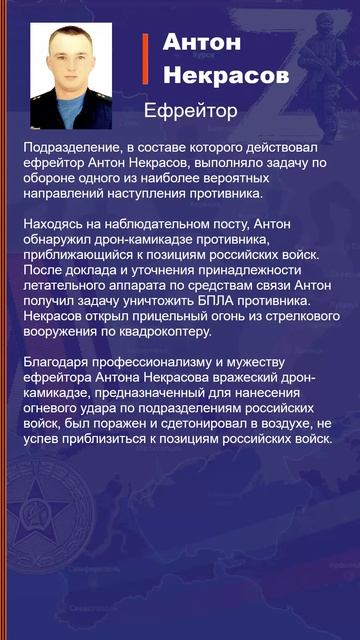 Антон Некрасов Наградной лист Z